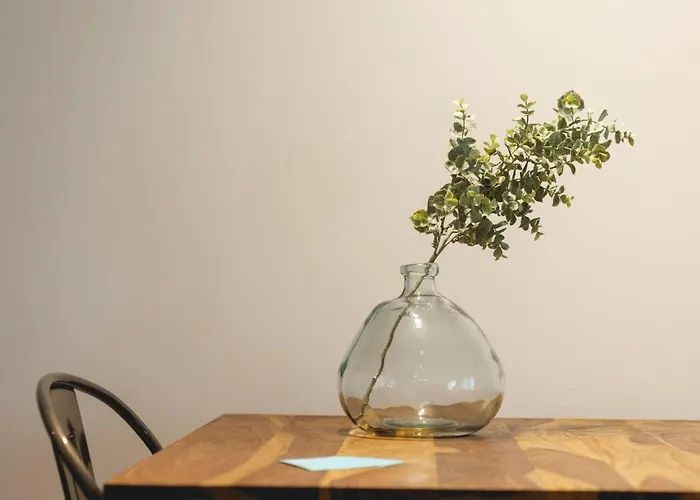 Bravissimo Placa Catalunya 1-2,